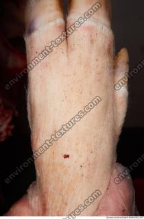 Photo Textures of Pig Leg 